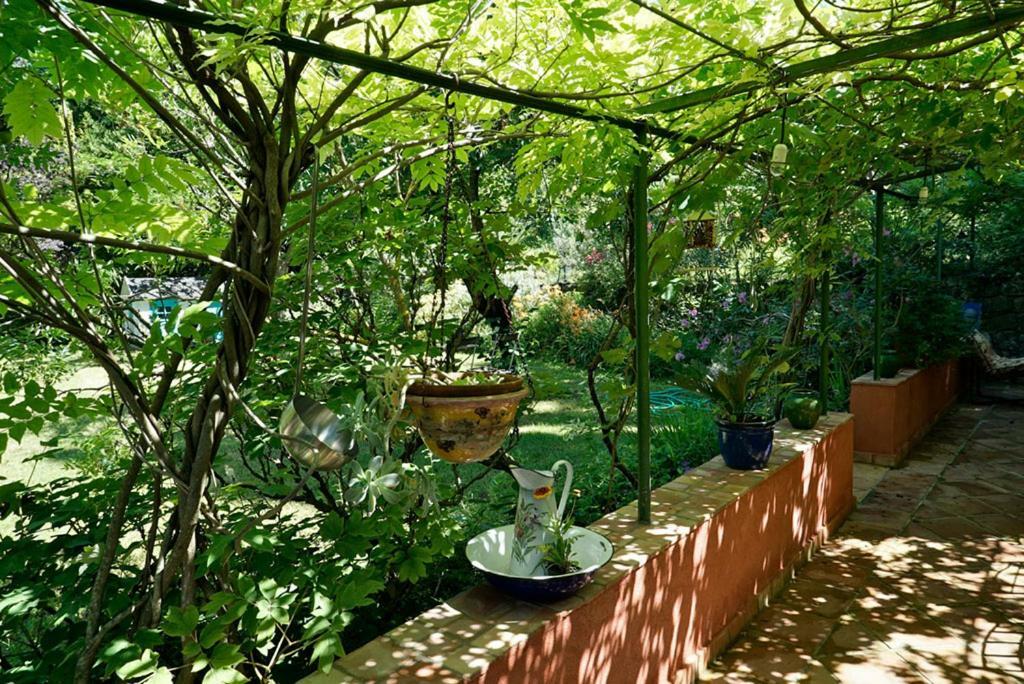 Chambres D'Hotes Il Monticello 그하쓰 외부 사진
